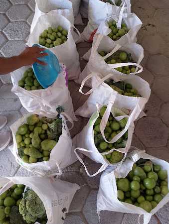 Fotografia tomada fuera de Punto de entrega Banco de Alimentos y Caritas - Banco de alimentos en Tecali de Herrera, Pue.