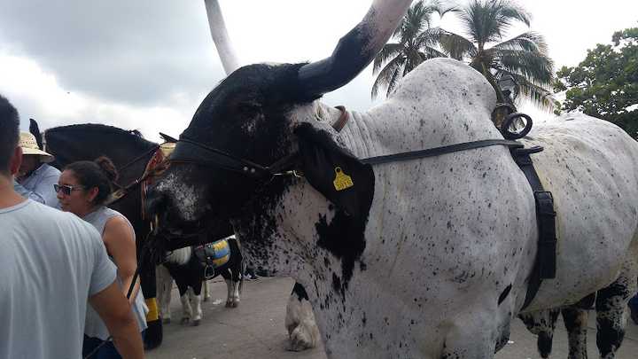 Fotografia tomada fuera de Prendamex Tlacotalpan - Casa de empeños en Tlacotalpan, Ver.
