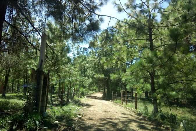Fotografia tomada fuera de Rancho El Fresno - Agencia inmobiliaria en Huasca de Ocampo, Hgo.