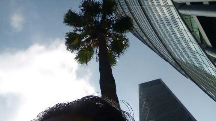 Fotografia tomada fuera de Seguro Escolar - Compañía de seguros en Venustiano Carranza, CDMX