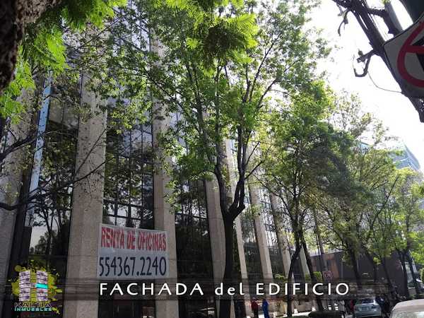 Fotografia tomada fuera de Tienda AXA Citi Insur - Compañía de seguros en Benito Juárez, CDMX